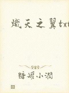 炽天之翼txt