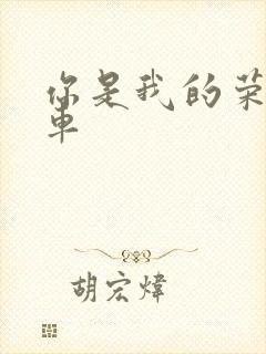 你是我的荣耀肉车