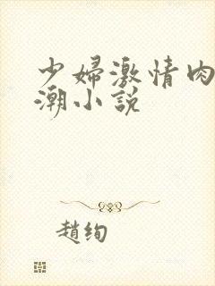 少妇激情肉欲高潮小说