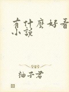 有什么好看的h小说