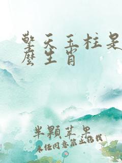 擎天玉柱是指什么生肖