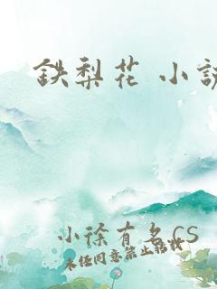 铁梨花 小说