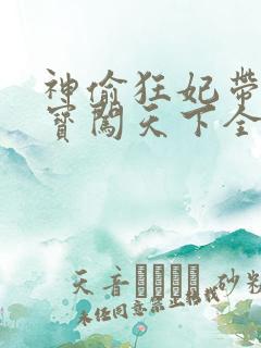 神偷狂妃带着宝宝闯天下全文免费阅读