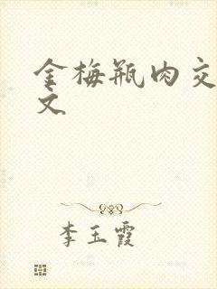 金梅瓶肉交白话文