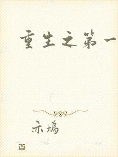 重生之第一名媛