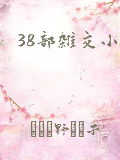 38部杂交小说