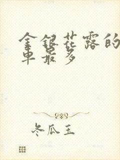 金银花露的哪个车最多