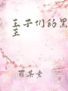 王子们的黑道公主