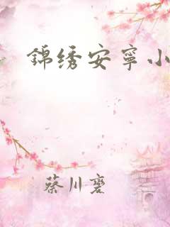 锦绣安宁小说