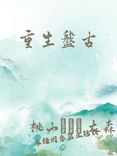 重生盘古