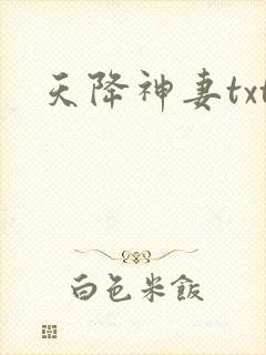 天降神妻txt