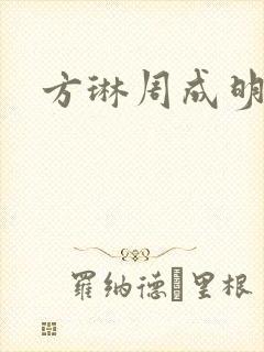 方琳周成明小说