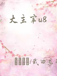 大主宰u8