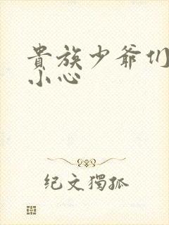 贵族少爷们 请小心