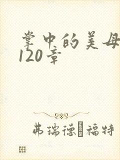 掌中的美母版主120章