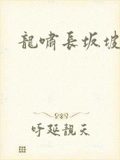 龙啸长坂坡