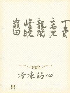 巅峰龙主丁长顺田晓兰免费阅读