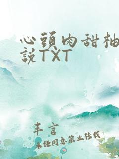 心头肉甜柚子小说TXT