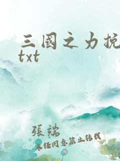 三国之力挽狂澜txt