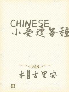 CHINESE小受遭各种打桩