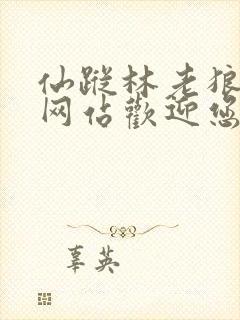 仙踪林老狼官方网站欢迎您