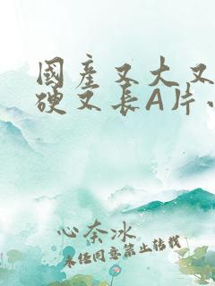 国产又大又粗又硬又长A片小说