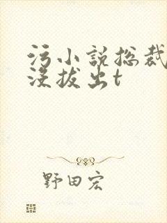 污小说总裁整夜没拔出t