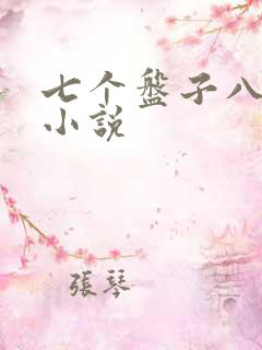 七个盘子八个碗小说