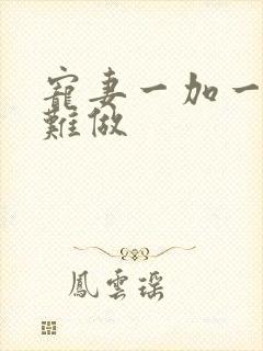 宠妻一加一老婆难做