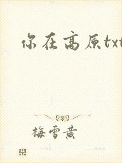 你在高原txt
