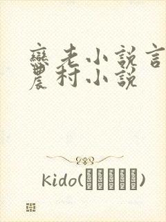 恋老小说言情网农村小说