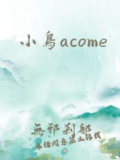 小鸟acome