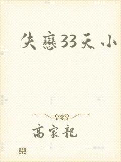 失恋33天小说