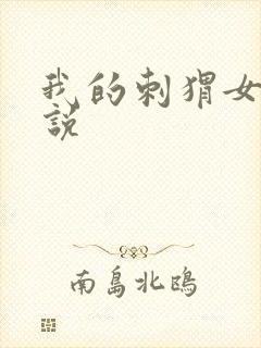 我的刺猬女孩小说