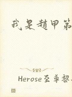 我是赵甲第小说