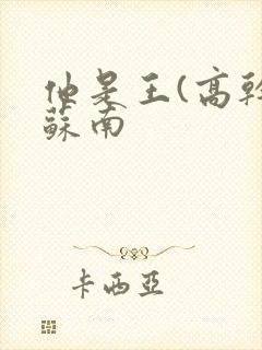 他是王(高干)苏南