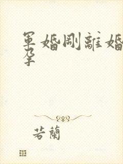 军婚刚离婚就怀孕