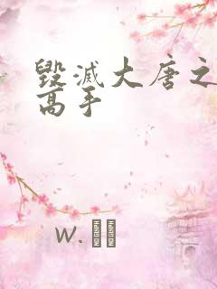 毁灭大唐之异能高手