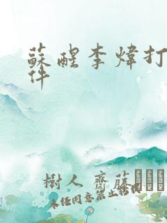 苏醒李炜打架事件