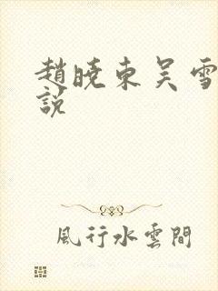 赵晓东吴雪晴小说