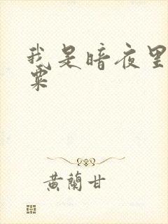 我是暗夜里的罂粟