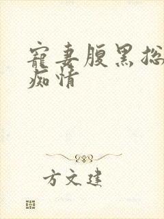 宠妻腹黑总裁太痴情