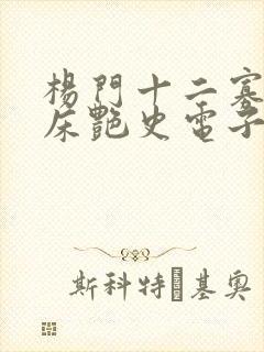 杨门十二寡妇肉床艳史电子书