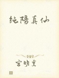 纯阳真仙
