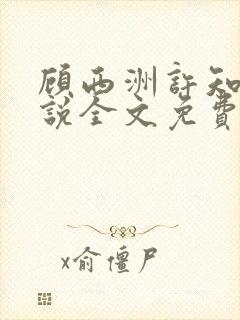 顾西洲许知意小说全文免费阅读