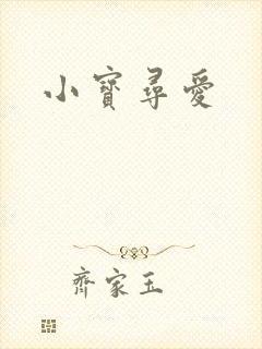 小宝寻爱