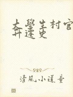 大学生村官艳遇升迁史