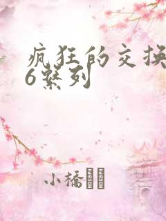 疯狂的交换1一6系列