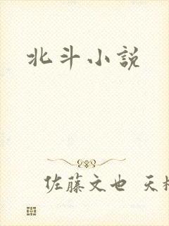 北斗小说