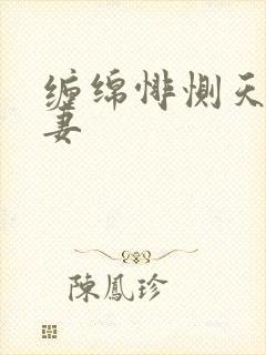 缠绵悱恻天价前妻